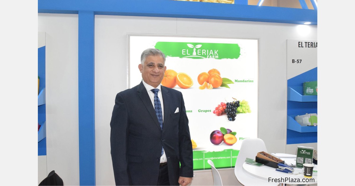 "The market simply chose to skip Egyptian Navel oranges this season"