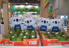 Australian avocados from The Avolution.