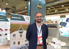 Oussama El Mir, general manager of Moroccan company Medjool Star, announces bigger sizes of Medjool dates from Morocco this season.