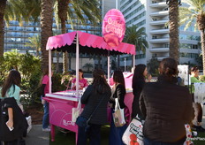 Bloom Fresh was promoting their Cotton Candy grape on the square outside the convention center.