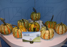 Thriller, a new winter squash, serves a dual purpose. It’s an edible squash as well as a decorative pumpkin.