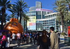 The Grand Plaza and Anaheim convention center.