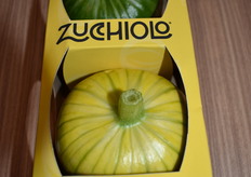 Zuchiolo is a new product for Malena. The new zucchini variety is imported from Southern Spain.