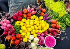 Embracing the bright colors of produce at Babe Farms' booth.