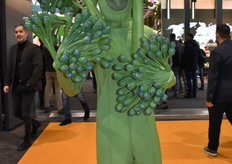 Bimi Broccoli is making its way through the halls.