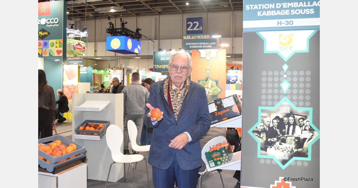 Delayed impact of rainfall on Moroccan citrus fruits