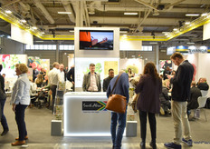 The South Africa pavillion