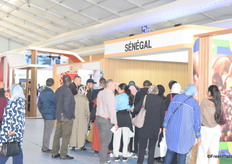 West African stands were clearly the most popular among Moroccan -general public- visitors.