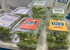 Stacks of beautiful greens in Folia’s booth.