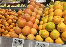 Loose citrus from Spain, Israel and South Africa.