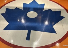 As evidenced by this maple leaf on the floor signifying center ice.