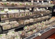 A plentiful display of organic white, button, sliced, cremini and oyster mushrooms.
