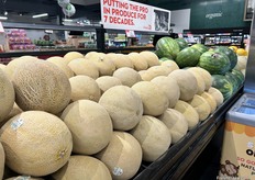 Some impressively large cantaloupes and watermelons.