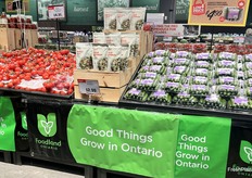 Banners below Ontario-grown produce remind shoppers about the importance of buying local.