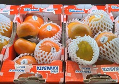 Fuyu persimmons from Brazil.