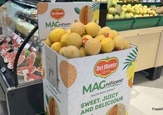 Hami melons are in a special bin next to the cut melons.