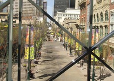 View from the bridge to Calgary downtown