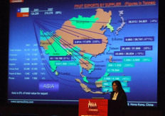 A part of the magnificent pretentation of Isabel Quirez. (iQonsulting Ltd (Chile)