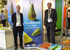 Representing the Belgim auctions.