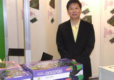 Korean Grapes. Superb Quality . .