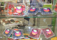 South American berry power.