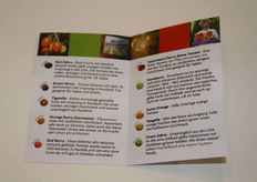 information detailed