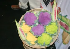 Purple, green and yellow cauliflower