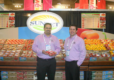 Jason and Chris of Sunset presenting the pink tomatoes and the Kumato which have a distinct color, intense aroma and flavor and they are sweet and juicy.