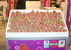 This is the fruit of the cactus. It is a very juicy fruit and red on the inside.