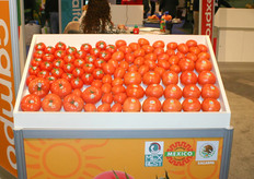 Tomatoes from Mexico