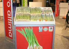 Green onions from Mexico