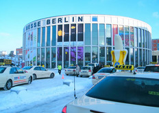 A cold and white start of the Fruit logistica