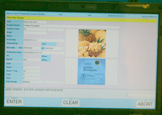 The result of the scan.