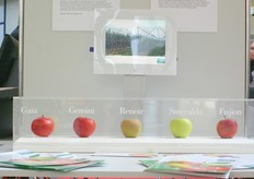 Nominated innovation Award 2011