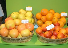 Ministry of Agriculture