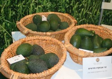 Ministry of Agriculture