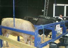 The Agro Mashov is an exhibition, which covers the whole spectrum of agriculture.