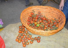 Innovations on the floor