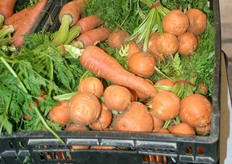 Innovations on the floor