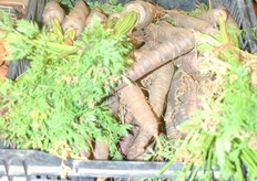 Innovations on the floor