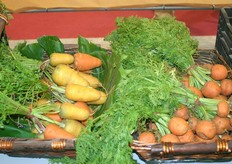 Innovations on the floor