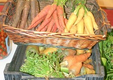 Innovations on the floor