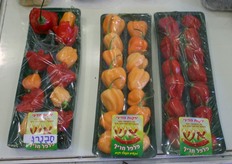 Innovations on the floor