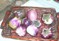 Innovations on the floor