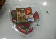 Innovations on the floor