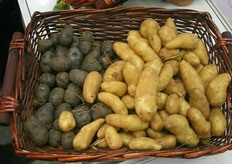 Innovations on the floor