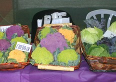 Innovations on the floor