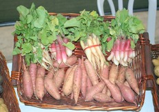 Innovations on the floor