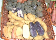 Innovations on the floor