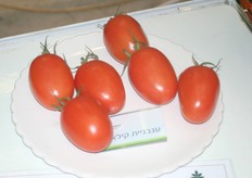 Innovations on the floor